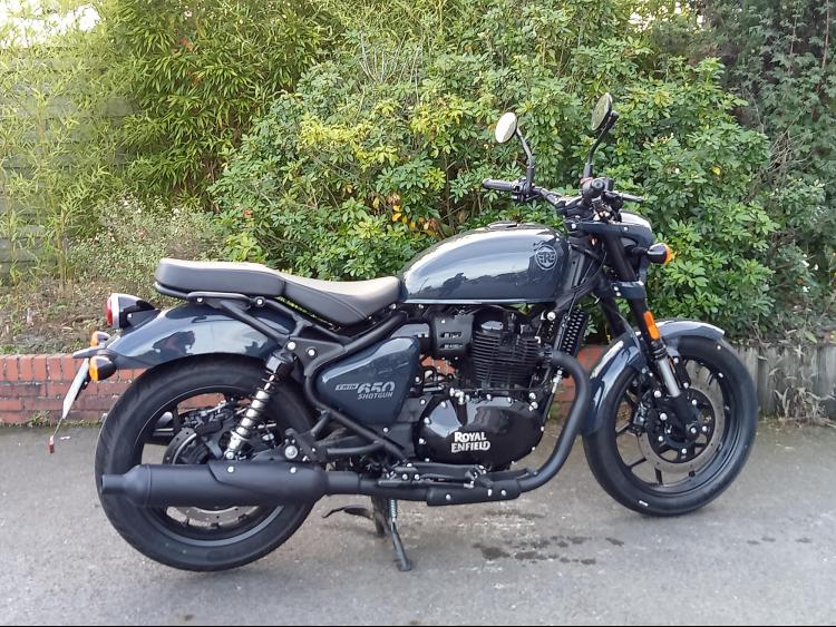 ROYAL ENFIELD SHOTGUN