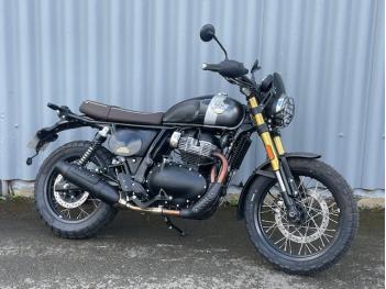 ROYAL ENFIELD BEAR