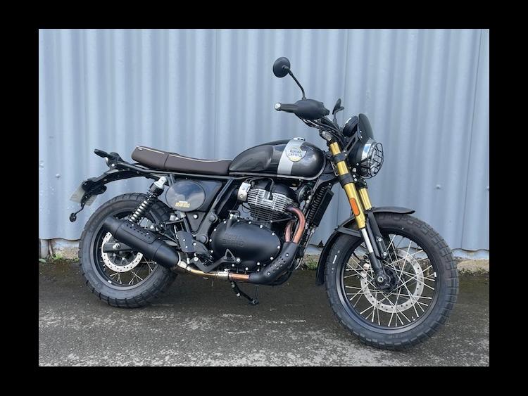 ROYAL ENFIELD BEAR