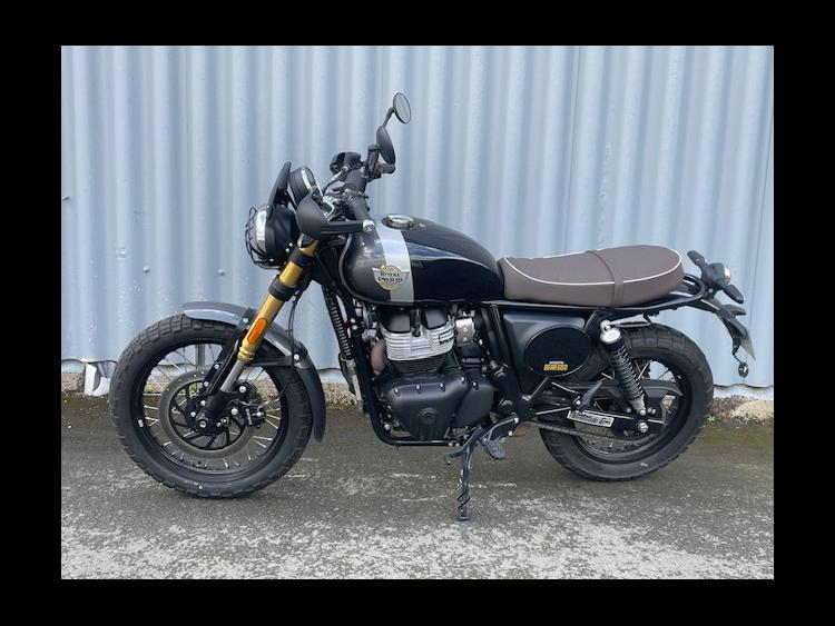 ROYAL ENFIELD BEAR